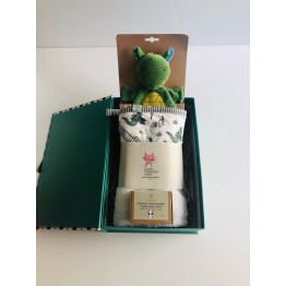 Baby dragon gift box